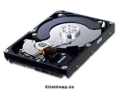 F1 HDD 500GB SATA/300 7200RPM 16MB PUFFER fotó, illusztráció : HD502IJ