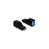 Adapter micro USB 3.0-B male > USB 3.0-B female DELOCK-65216 Technikai adatok