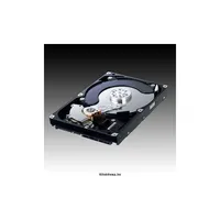 F1 HDD 500GB SATA/300 7200RPM 16MB PUFFER illusztráció, fotó 2